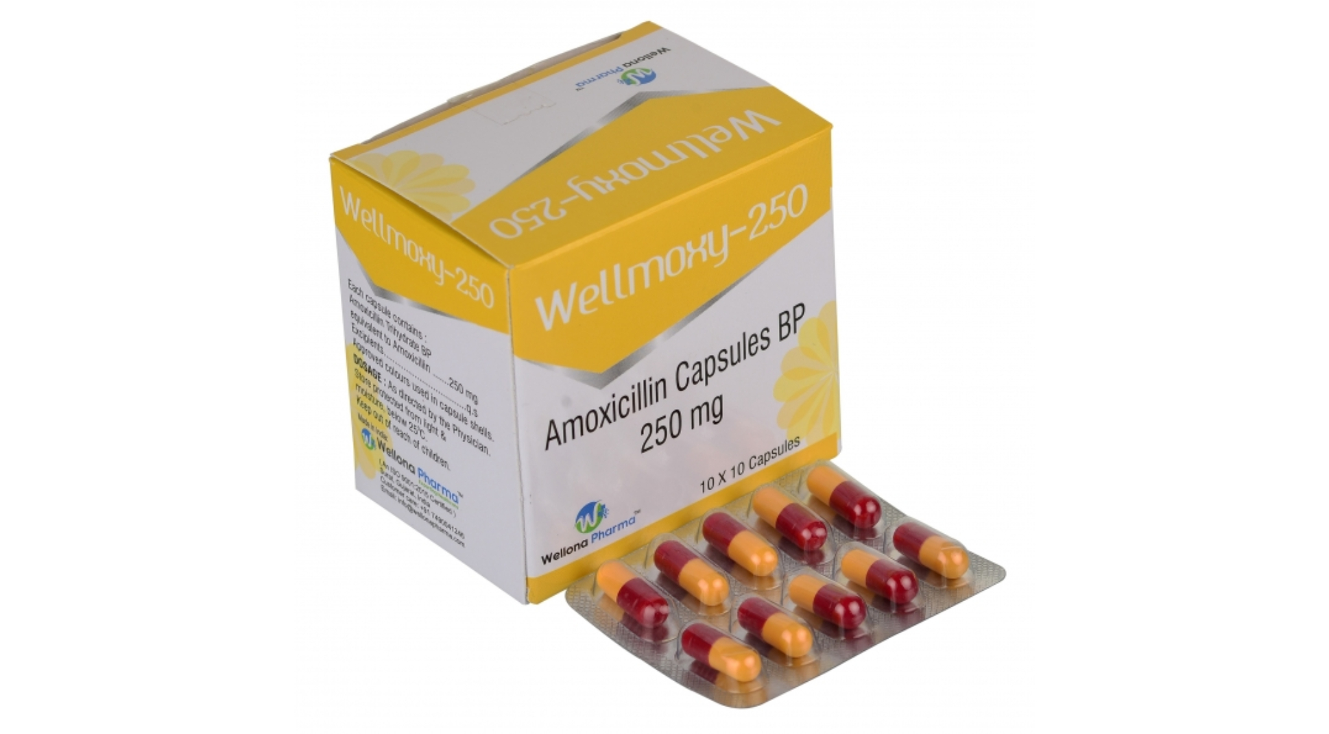 Amoxicillin Medicine Dropshipper amoxicillin generic dropshipper